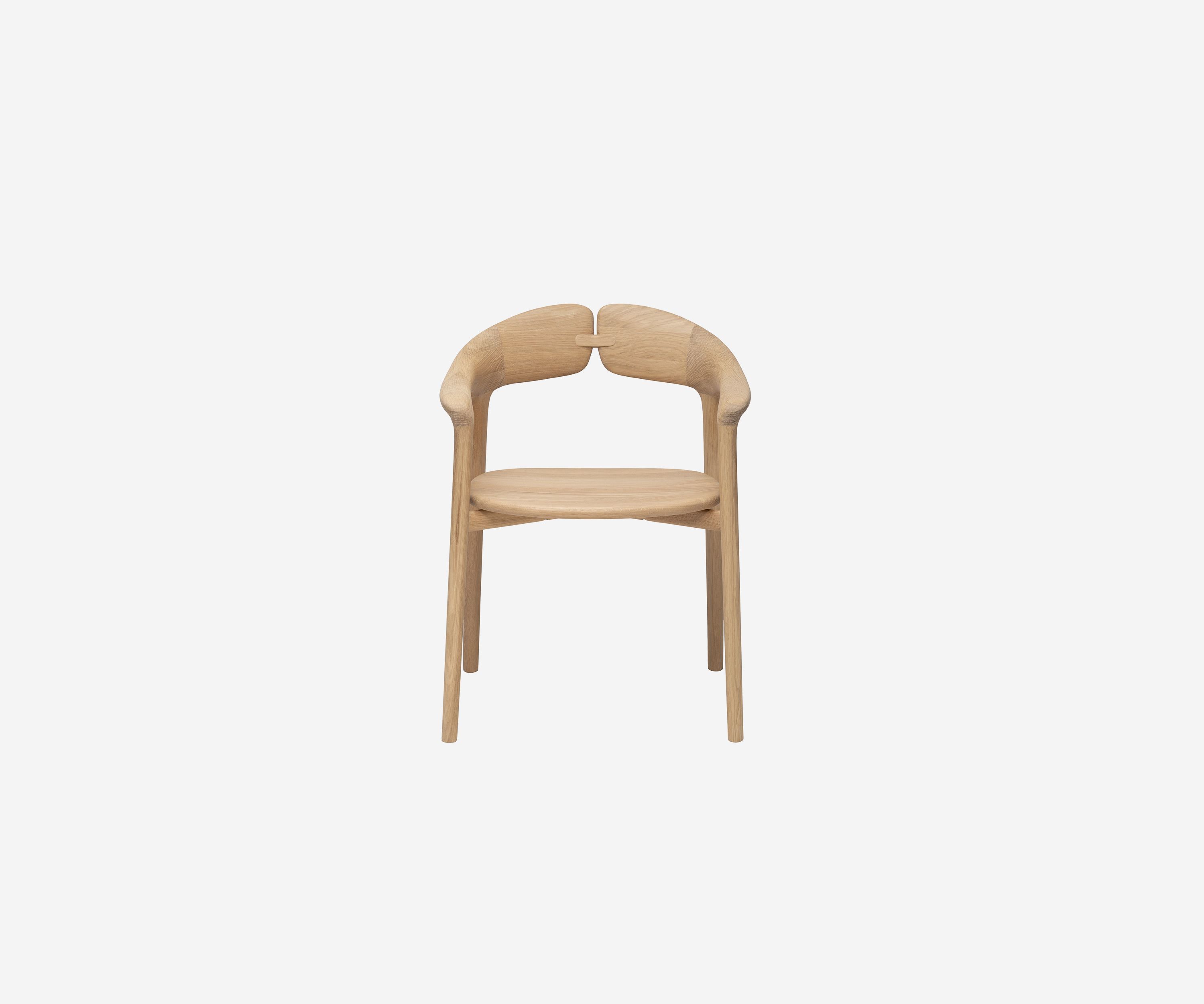 LepidaChairArmrest_Product1.jpg